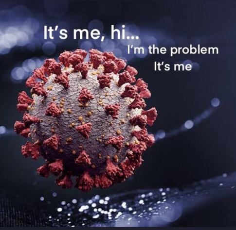 An artistic representation of a coronavirus particle, surrounded by a dark, blurred background with subtle light reflections. The text overlay reads: "It's me, hi... I'm the problem. It's me."