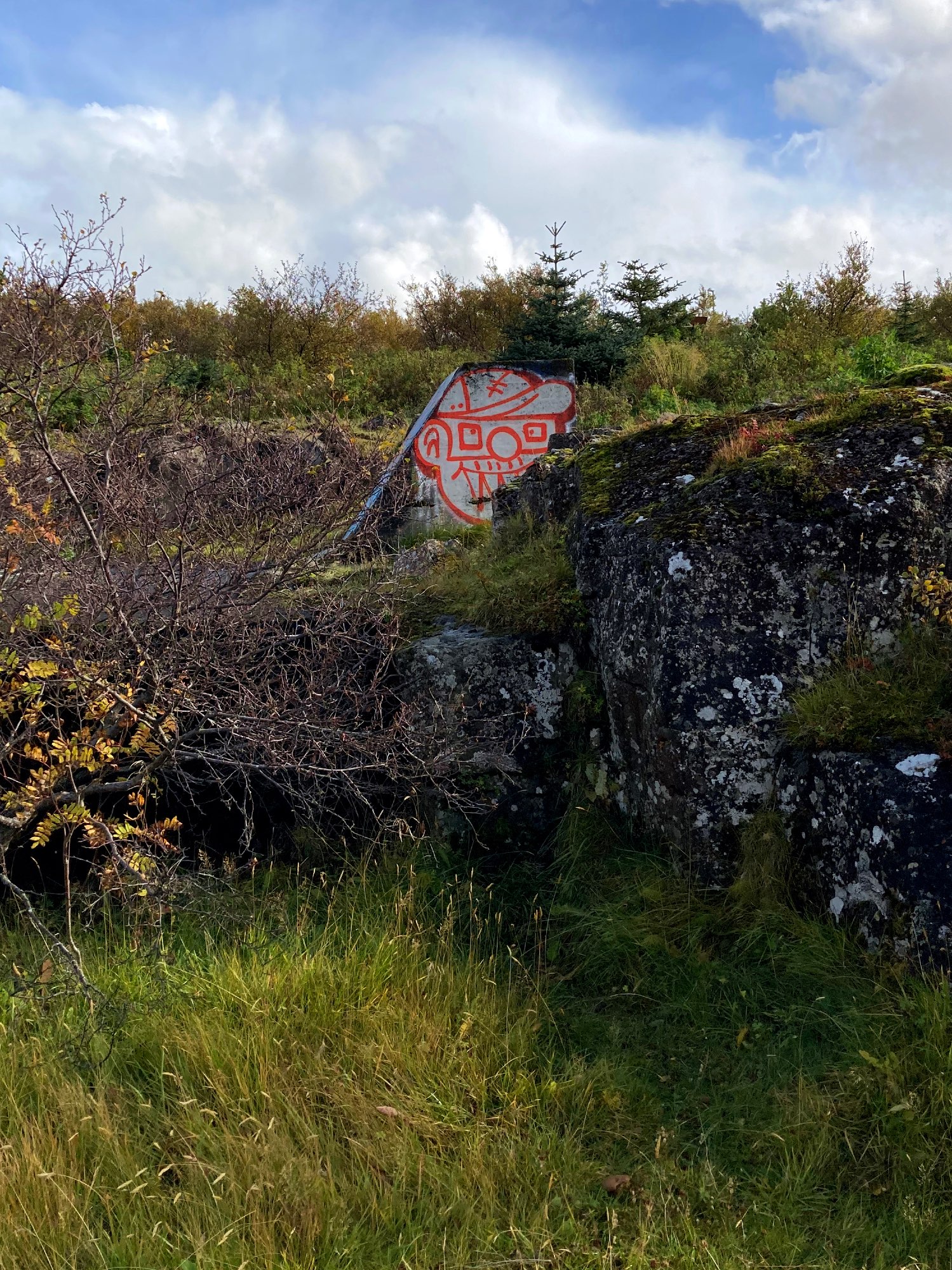 A graffiti covered war relic surrounded by nature.