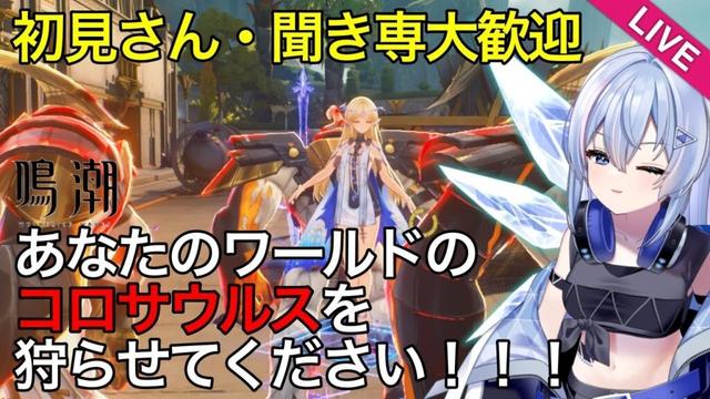 【#鳴潮 】【#朝活 】【星声配布あり】初見さん聞き専大歓迎！コロサウルスを狩らせていただける方、まだまだまだ募集中です【#wutheringwaves 】【#めいちょう 】