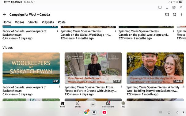 Screenshot of association's home page.