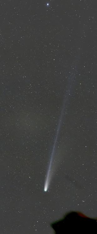A comet with a long, narrow tail in the starry sky.