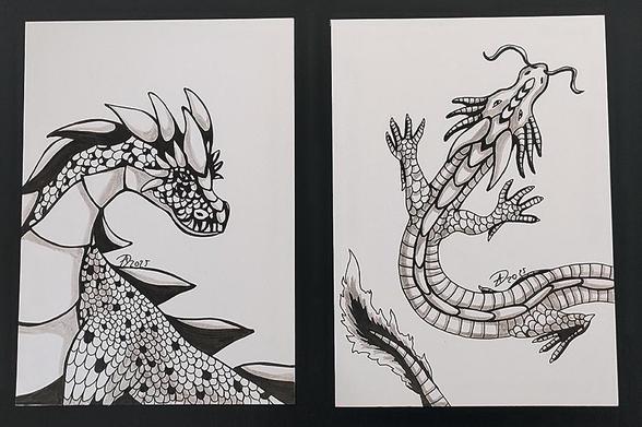 Zwei Din A6 Karten zeigen jeweils einen anders dargestellten und gezeichneten Drachen. Der linke ist ohne Flügel und etwas massiger in seiner Körperform, mit zahlreichen Schuppen und spitzen Hörnern entlang seines Rückens. 
Der Drache auf dem rechten Bild sieht einem asiatischen Drachen ähnlich, schlangenförmig und grazil. 

Beide Drachen habe ich mit Faber Castell Tuschestiften gezeichnet.