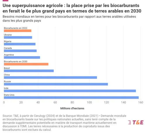 Aujourd'hui, la culture de plantes destinées à être brûlées comme carburant occupe 32 millions d'hectares de terres, soit environ la superficie de l'Italie, pour répondre à seulement 4 % de la demande mondiale en énergie pour les transports. D'ici 2030, cette superficie devrait augmenter de 60 % pour atteindre 52 millions d'hectares, soit la superficie de la France.