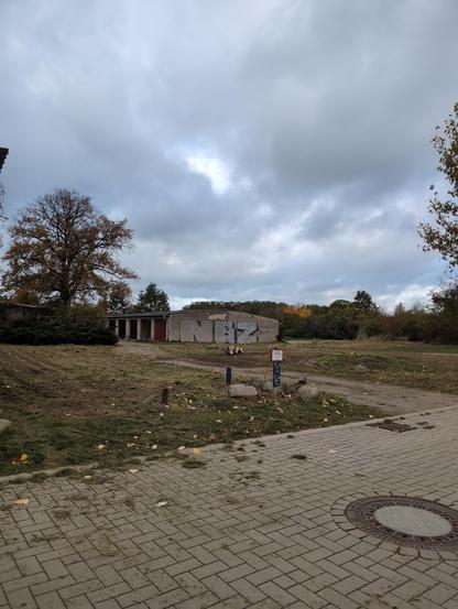 A view onto an old graffiti-covered garage complex. Next to it a huge beautiful tree. In the background, there is still green and nature. But the foreground is now a dead lawn with clear signs of the destruction. Only a few parts of the felled stems are left where the trees stood.