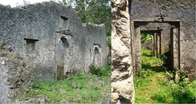 Ruins of a house in Fukuchani, Zanzibar