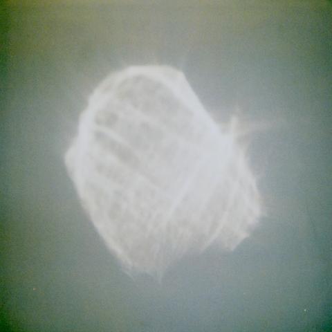 Temper by Benoît Pioulard, released on Kranky in 2008.