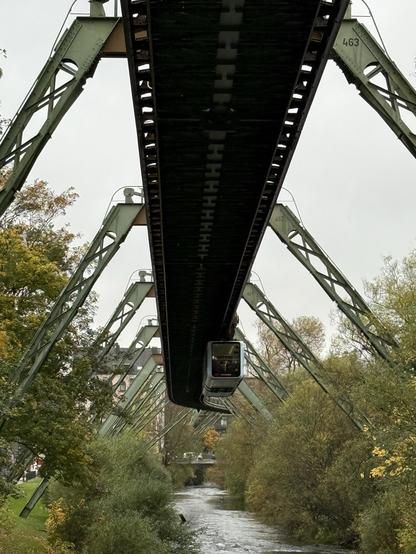 Ein Schwebebahnzug über der Wupper direkt hinter der Haltestelle Oberbarmen. Die Schienen werden von einem Gestell mit Stützen links und rechts des etwa 30m breiten Flussbetts der Wupper getragen. Die Stützen sind in einem Grünton gestrichen. Der Schwebebahnwagen ist hellblau. Am Ufer sind niedrige Bäume und Sträucher in Herbstfarben.