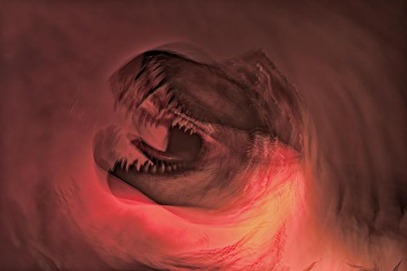 A dinosaur head resembling a Tyrannosaurus rex with sharp teeth, captured in a blurry, swirling motion. Predominantly red tones create a dramatic effect, with the dinosaur's mouth open wide, set against a dark background. 
### 
Ein Dinosaurierkopf, der einem Tyrannosaurus Rex mit scharfen Zähnen ähnelt, aufgenommen in einer verschwommenen, wirbelnden Bewegung. Vorwiegend Rottöne erzeugen einen dramatischen Effekt, wobei das weit geöffnete Maul des Dinosauriers vor einem dunklen Hintergrund steht.