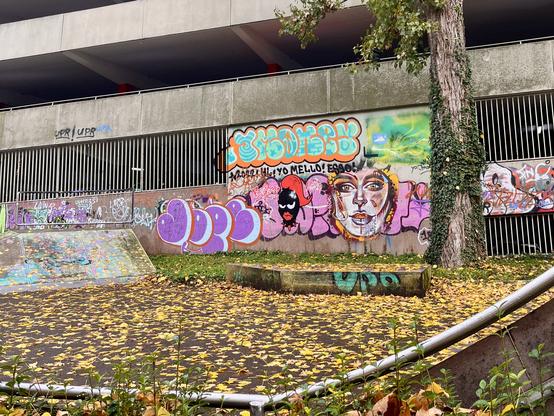 Bunte Graffiti-Schriftzüge und zwei Frauenköpfe auf grauer Betonwand. Daneben ein Baum und davor eine freie Fläche mit gelbem Laub.