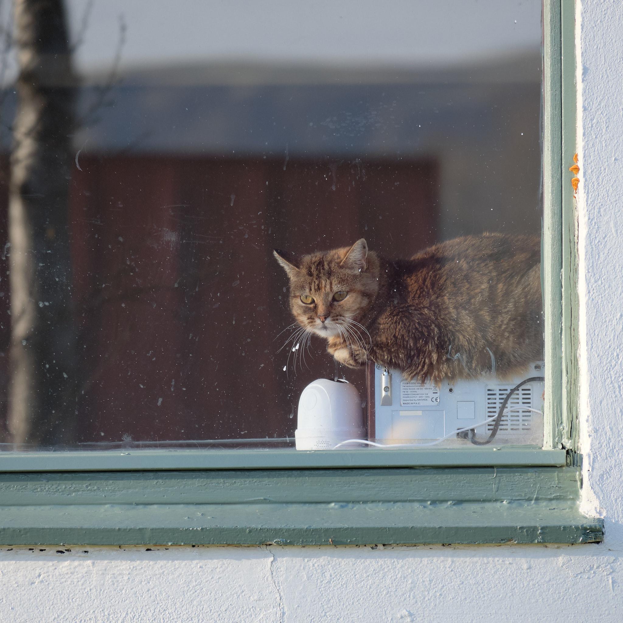 A grey striped cat loafs on top of a radio in a window.