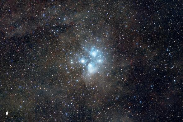 A photo of the Pleiades, a very bright star cluster visible in the night sky even under heavy light pollution. The main stars of the cluster are surrounded by bluish nebulae. The rest of the image displays many stars and gray and reddish nebulae. Neither the nebulae nor most of the stars are visible to the naked eye.