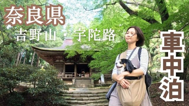 奈良県はパワースポットだらけだった。圧倒的な歴史と自然がすごすぎる！ご開運めぐり車中泊の旅をする50代看護師と犬1匹。吉野山・宇陀路編
