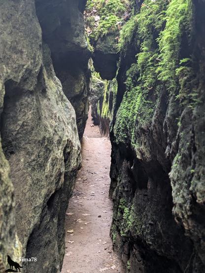 Sentier très étroit entre des falaises de calcaire couvertes de mousse.
Very narrow trail between limestone cliffs covered with moss.
Sendero muy estrecho entre acantilados de piedra caliza cubiertos de musgo.