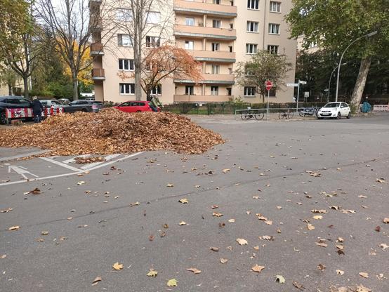 Enormer Laubberg auf einer Sperrfläche innerhalb einer scharfen RechtsKurve,der schon mehr als 2 meter weit über die weiße Linie  auf die Straße hinaus abgerutscht ist.
Die Straße sieht dort sehr breit aus, aber wegen der Sperrung desKreisverkehres rechts außerhalb des Bildes müssen alle Fahrzeuge, die aus der engen Straße von hinter dem Laubhaufen kommen, hier sehr scharf nach rechts abbiegen, während auch noch schnellere Fahrzeuge von (ihre Sichtweise) links kommen können.