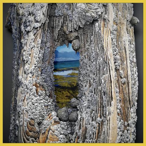 We see a beach pole, nearly weathered to rot, with a hole in it. Through this eye Videos of coasts are projected. The pole is painted in great detail, with a lot of growth of barnacle and cockles.