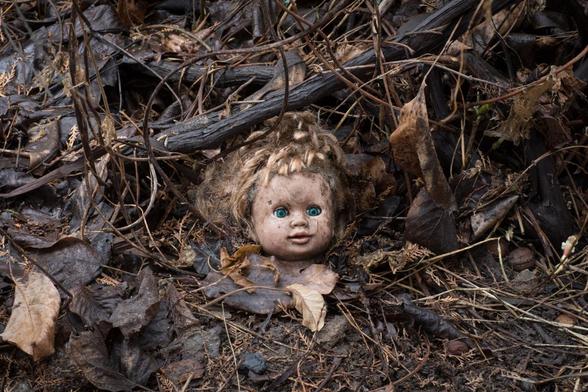 Cabeza de muñeca en el suelo de un bosque (asarenkof@mail.ru)