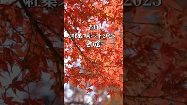 香川紅葉人気スポット20選 2025