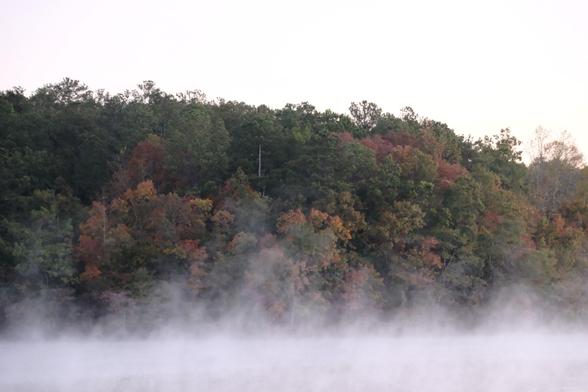 Partially colored leaves in the woods on a lake. Fog rising from the water.