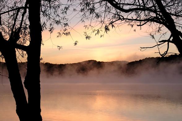 Predawn orange light shining in the sky and reflected on the water in a lake. Two almost barren trees on each side and woods far on the other shore.