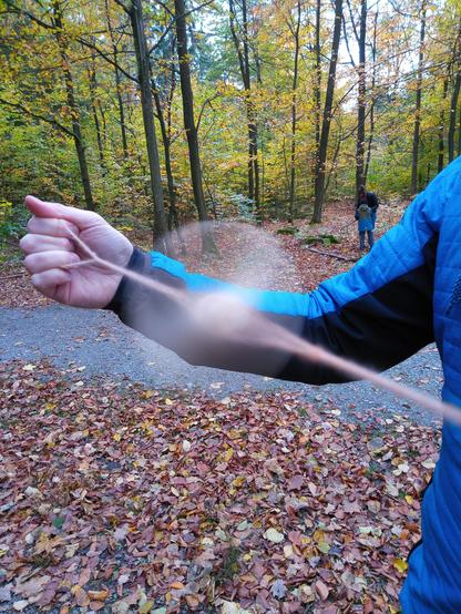 Eine Hand hält einen verdrillten Faden, in dessen Mitte sich ein Hölzchen dreht. Es ist nur als runder Schweif zu erkennen. Unten liegt braunes Laub, hinten stehen grüngelbe Bäume.