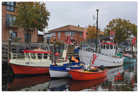 Fischkutter im Hafen