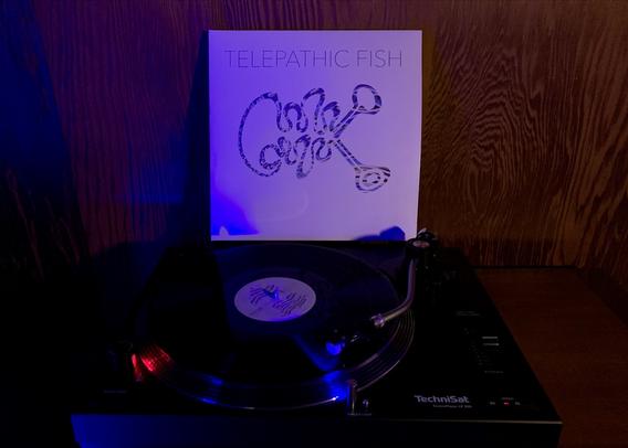 Now spinning:
Telepathic Fish: Trawling The Early 90s Ambient Underground (2 LP)