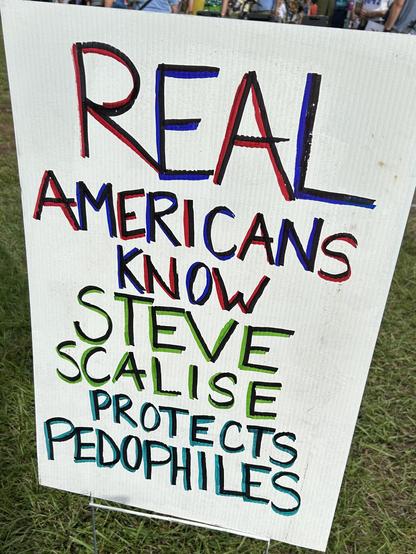 A hand-painted sign says, “REAL AMERICANS KNOW STEVE SCALISE PROTECTS PEDOPHILES.”