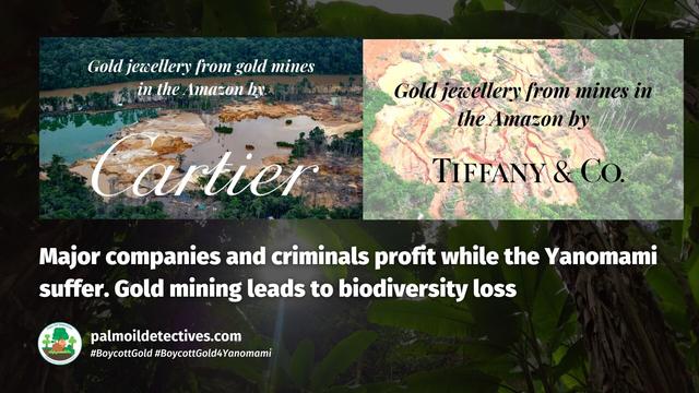 #Gold #mining kills #indigenous peoples 🩸 forcing women and children into sex #slavery! Help #Yanomami people forced violently from their #rainforest homes for the #greed of gold! 🪙⛔️ #BoycottGold #BoycottGold4Yanomami 🫶🌳@BarbaraNavarro @palmoildetect.bsky.social https://wp.me/pcFhgU-8uY?utm_source=mastodon&utm_medium=Palm+Oil+Detectives&utm_campaign=publer