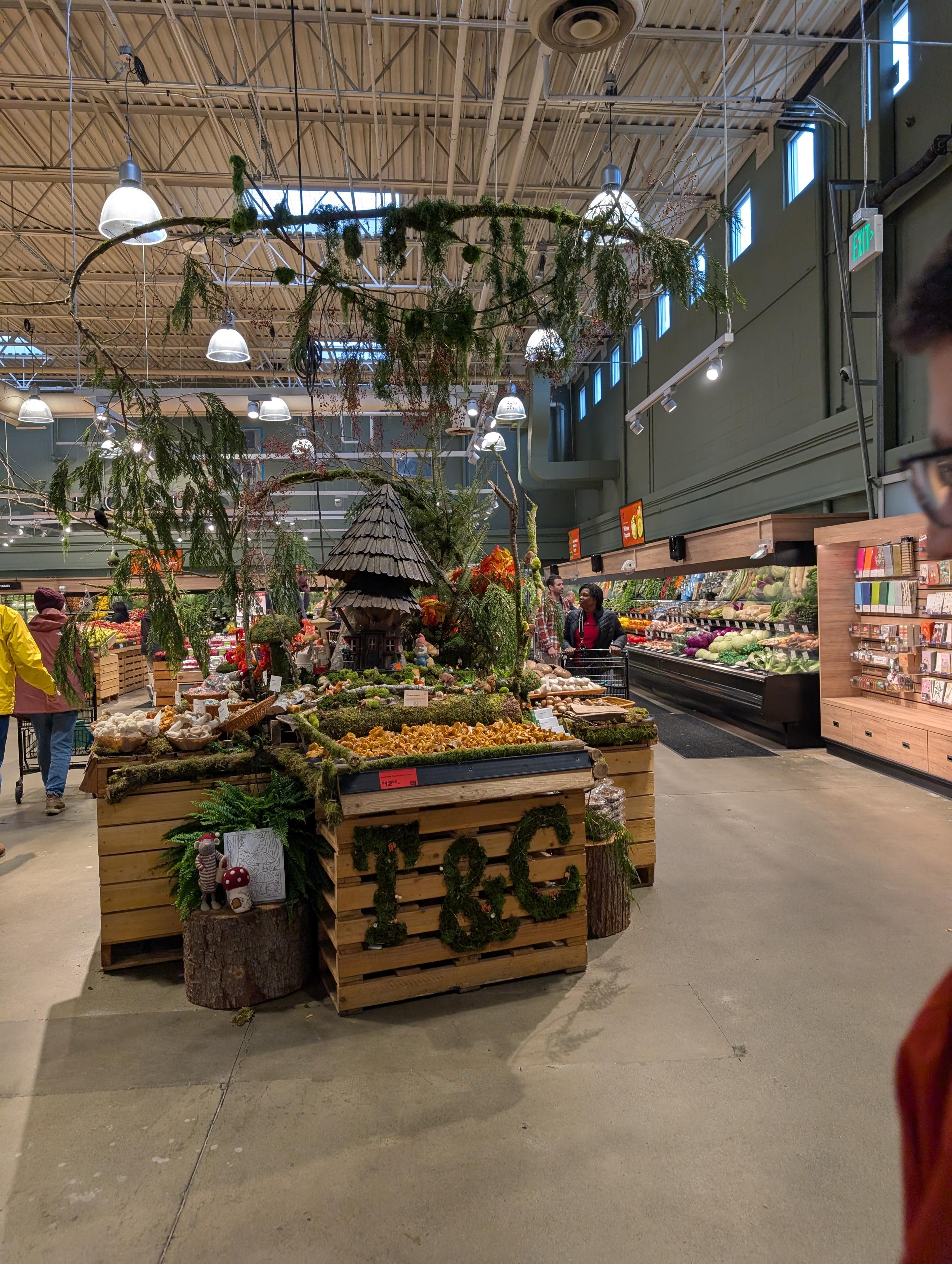 Very whimsical display with various mushrooms for sale, labeled T&C