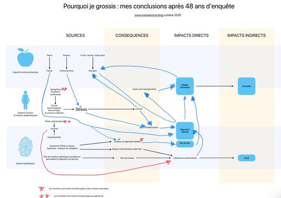 Mise à jour du schéma "Pourquoi je grossis" : les sources sont les végétaux, le stress provoqué par le gaslighting (et ses conséquences épigénétiques), par ma génétique (syndrome d'Ehlers-Danlos, manque de lactase et la médication de l'hypothyroïdie