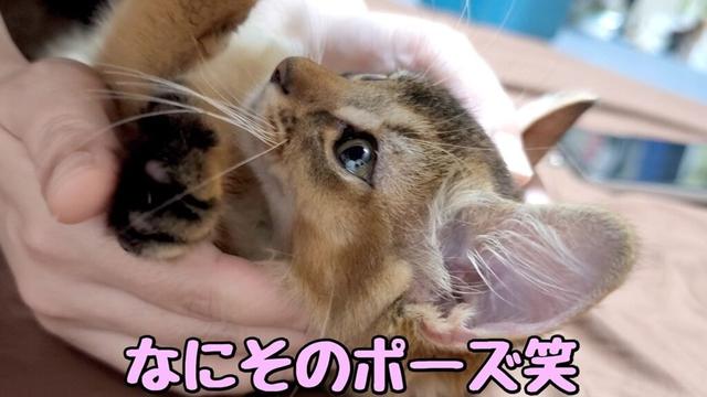 一番の甘えん坊、新人ソマリのるりすけが最も甘えてしまう人が意外すぎました笑