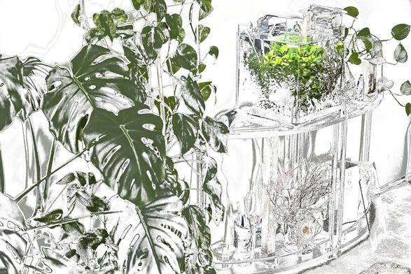 Foto eines kleinen Aquariums, im Vordergrund Blätter einer Monstera. Alle Farben bis auf Grün eliminiert. Nur noch Umrisse und Schatten in schwarz-grau