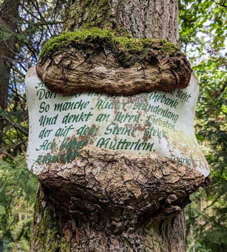 Ein weisses Schild mit dunkelgrüner Schrift. Es wurde vor langer Zeit an einem Baum angebracht.
Der Baum wölbt sich mit seinem Stamm inzwischen oben und unter dem Schild über den Baum.
