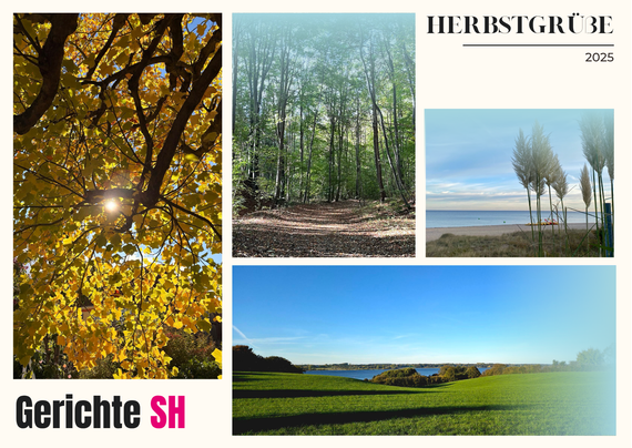 Postkarte der Redaktion. Landschaftsaufnahmen aus Schleswig -Holstein. Wälder, Wiesen, die Schlei und die Ostsee. Text: GerichteSH. Herbstgrüße 2025