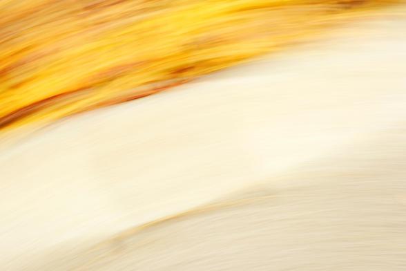 Ein ICM Foto mit Laub am Boden.