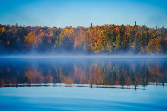 The calm surface of a lake reflecting bright autumn trees and a clear blue sky, with gentle mist rising.