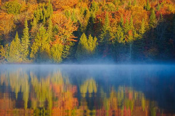 Close-up of colorful autumn trees reflected in a misty lake, showcasing deep greens and fiery oranges.