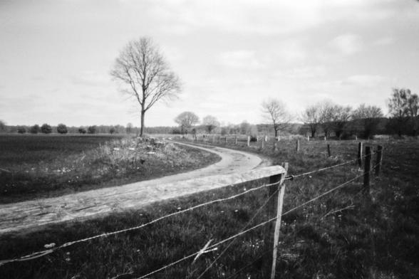 Ein Schwarzweiß-Foto einer norddeustchen Landschaft. Im Vordergrund ist ein Zaun mit Stacheldraht und Holzpfosten zu sehen, der sich entlang eines Weges durchs Bild schlängelt. Vereinzelte Bäume ohne Laub sind in der Landschaft mit bedecktem Himmel verteilt.