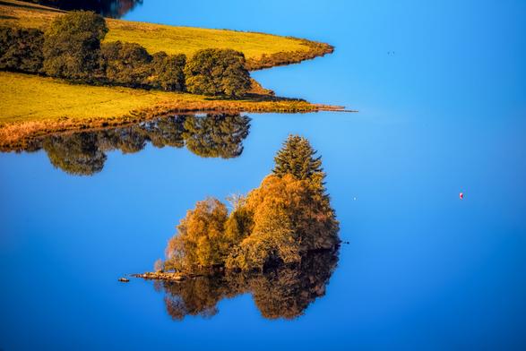 Eine ruhige, tiefblaue Wasserfläche dominiert das Bild, welche eine fast perfekte Spiegelung der Umgebung erzeugt. Im Zentrum des Wassers befindet sich eine kleine, bewaldete Insel. Die Bäume auf der Insel zeigen leuchtende Herbstfarben, von sattem Gelb bis zu Goldbraun, mit einer höheren, dunkleren Tanne in der Mitte. Das Wasser spiegelt diese Inselstruktur fast spiegelbildlich wider.

Im oberen linken Bereich ragt eine Uferlinie ins Wasser hinein. Dieses Land ist grösstenteils mit hellem, gelb-grünem Gras bedeckt, das an der Kante von dunkleren, runden Laubbäumen gesäumt wird. Auch diese Uferlinie und die Bäume spiegeln sich intensiv im ruhigen Wasser.

Der Himmel, der sich im Wasser spiegelt, erscheint in einem klaren, hellen Blau, was dem gesamten Bild eine sehr intensive Farbsättigung verleiht. Rechts auf dem Wasser ist ein kleiner, orangeroter Bojen- oder Markierungsgegenstand sichtbar. Das Licht scheint stark zu sein, was die Farben der Vegetation hervorhebt und die Reflexionen