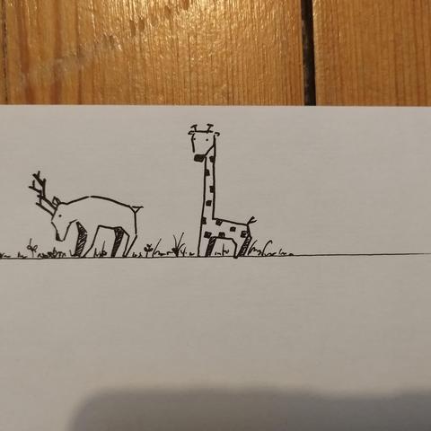 Zeichnung einer Giraffe und eines Hirsches