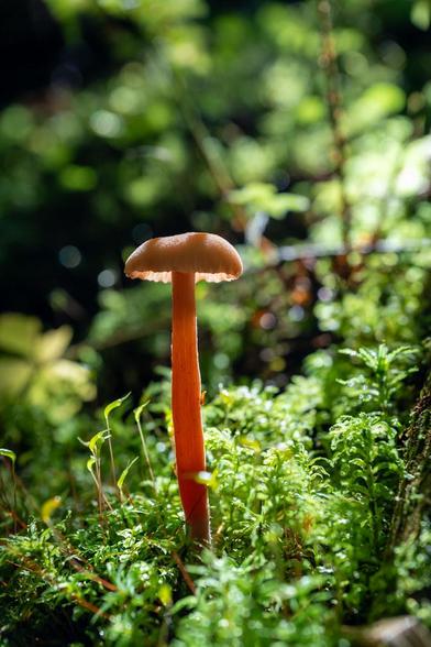 <a href="https://youtu.be/spt_iwlTX0I?si=7dMxB7OvoUz5UrVO" rel="noreferrer nofollow">youtu.be/spt_iwlTX0I?si=7dMxB7OvoUz5UrVO</a>