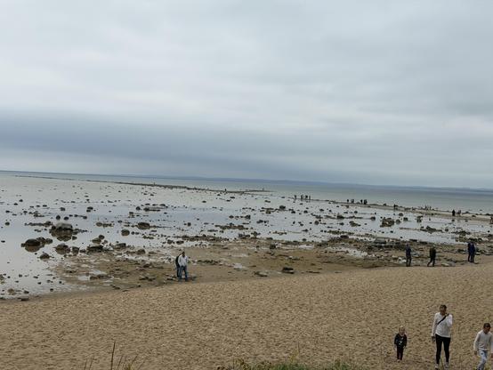 A sandy beach with scattered rocks and tidal pools, under a cloudy sky. Several people are walking along the shore and exploring the rocky areas near the water's edge.