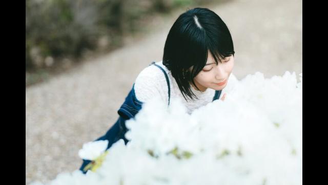 カメラと照明を新調しました