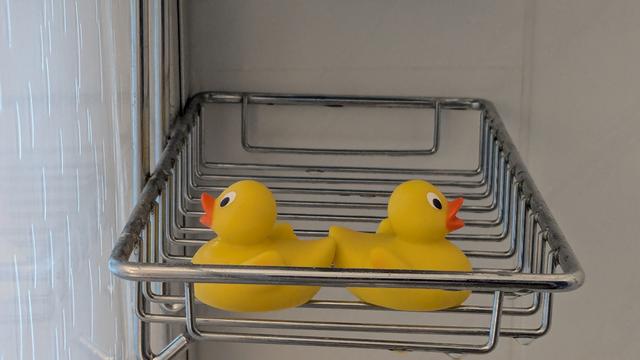 Zwei quietsche-entchen stehen Bürzel an Bürzel im Ablagekorb meiner Dusche. 
Im Rheinischen Karneval tanzen die Gardisten Hintern an Hintern, das nennt man Stippeföttchen (von stippen=antippen, Föttchen=Popo)