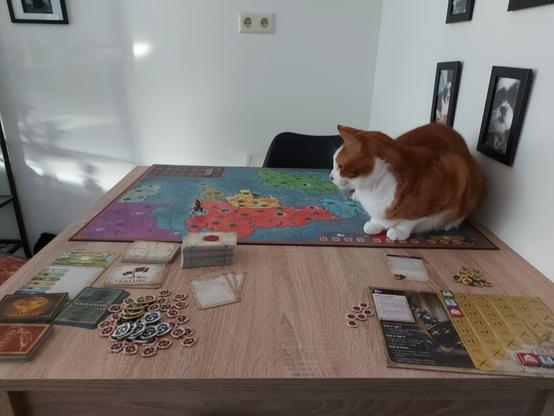 An orange cat sitting on the board of a board game displaying the map of the UK. There are various cards, tokens, and a player board alongside the board on a sand colored table. In the background you see a white wall and some framed pictures.