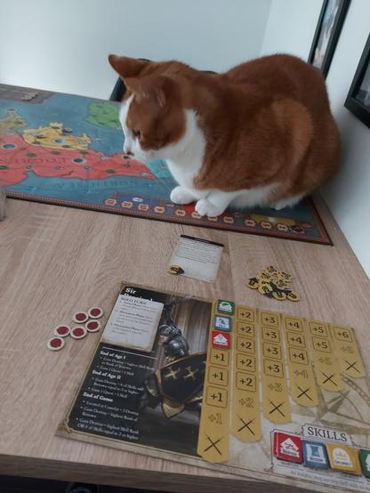 An orange cat sitting on a board game. The board has a map of the UK. Alongside the board, there is a player board for the character Sir Percival and some tokens on a sand colored table.