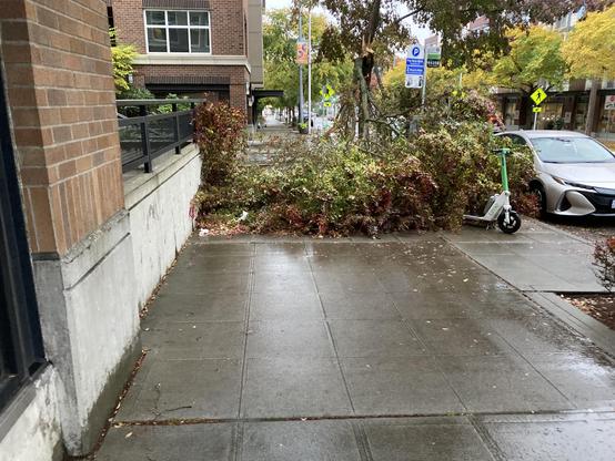 A large tree branch has come down across the sidewalk and blocked the way past a newer brick condo building. To the left of the frame is that building, to the right is a road with a silver car parked at the curb just where the tree stands, and there's a Lime Scooter partially covered by the downed branch.