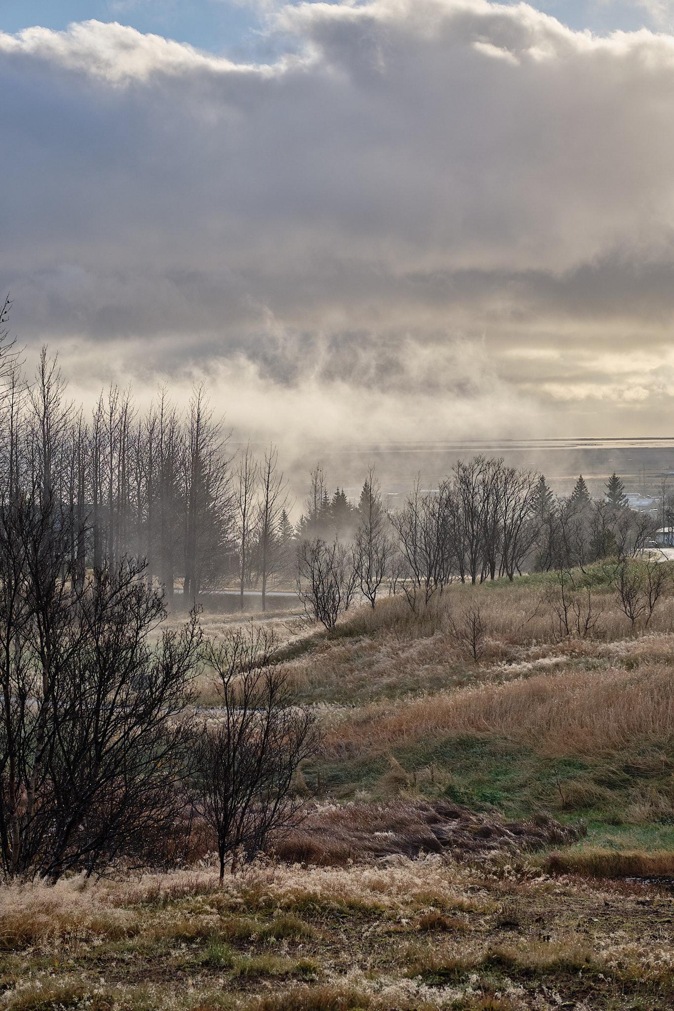 Slight hints of misty steam over a yellowing landscape, with a few trees scattered here and there