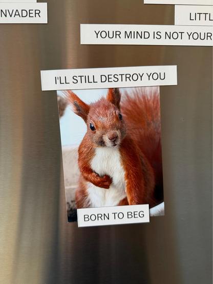 Auf einer Edelstahlfläche ist das Foto eines Eichhörnchens von Magneten mit den Texten I‘ll still destroy you und Born to Beg gehalten.