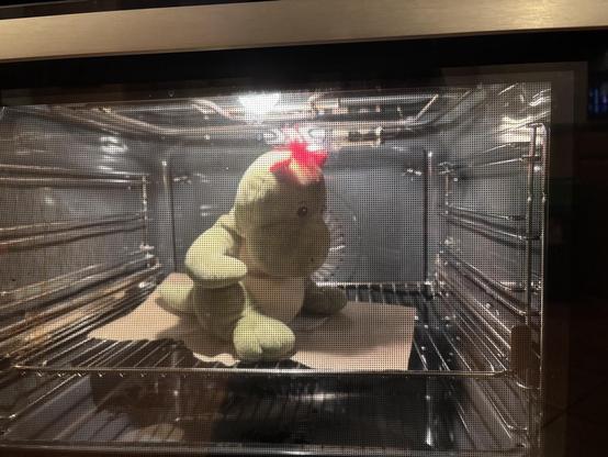In einem Backofen sitzt ein kleiner grüner Stoffdrache